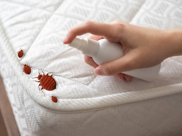 Lititz, PA Pest Control Company